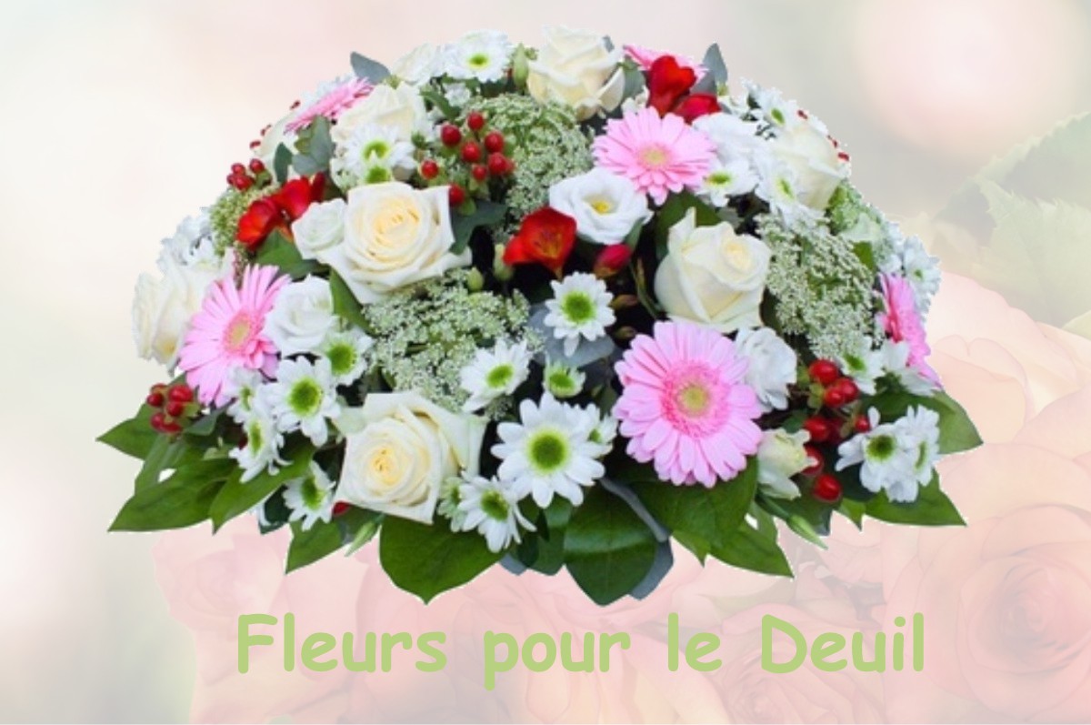 fleurs deuil SAINT-DIZIER-LA-TOUR